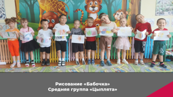 День бабочек День бабочек.